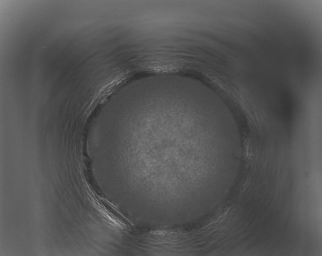 X0000050680733200506151728