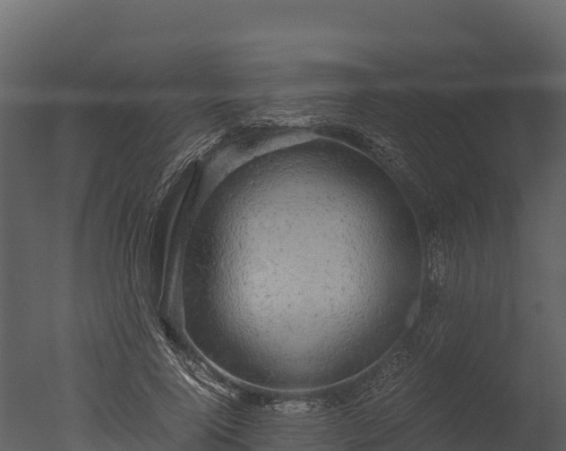 X0000050680740200506151728