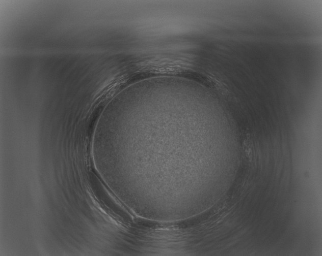 X0000050680744200506151728