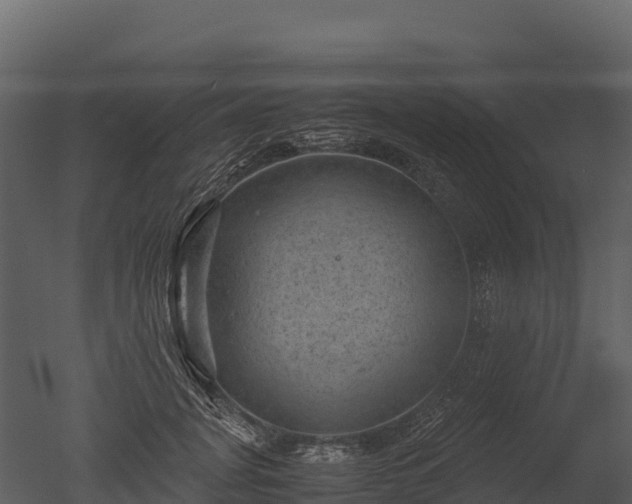 X0000050680751200506151728