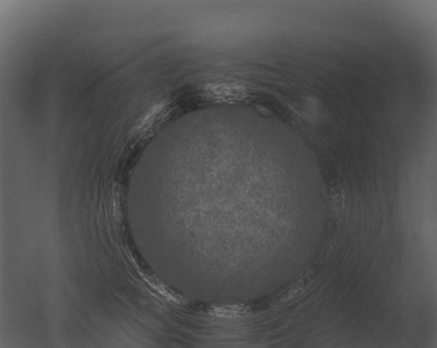 X0000050680757200506151728