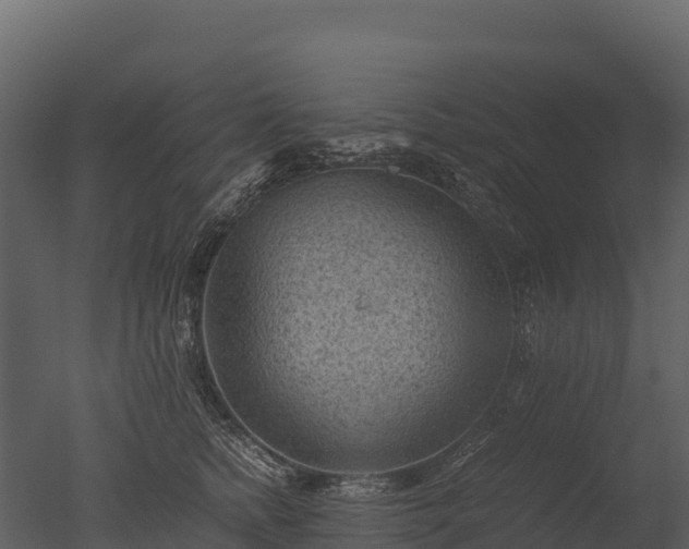 X0000050680758200506151728