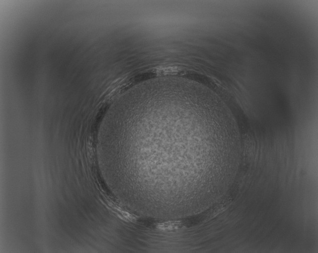 X0000050680761200506151728