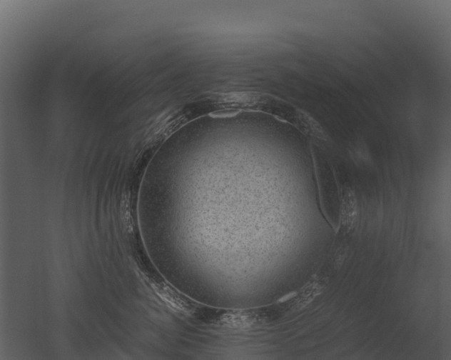 X0000050680764200506151728