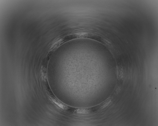 X0000050680766200506151728