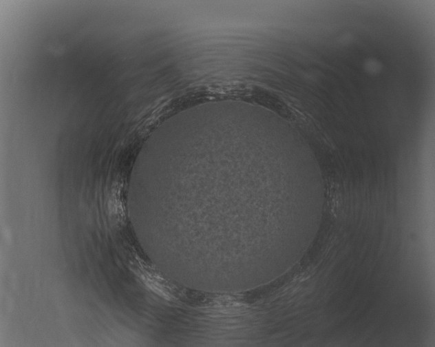 X0000050680770200506151727