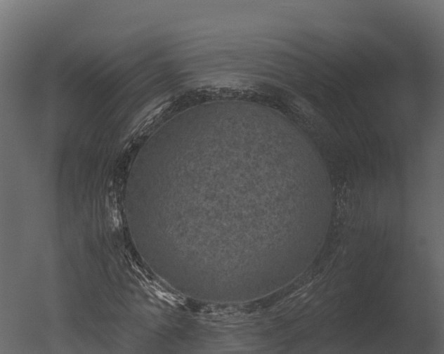 X0000050680774200506151727