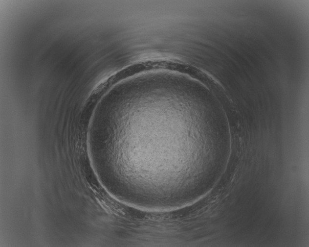 X0000050680775200506151727