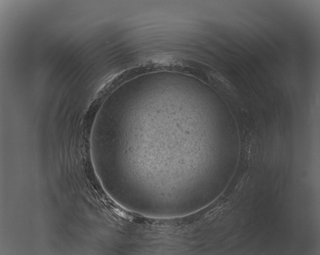 X0000050680776200506151727
