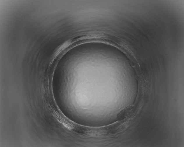 X0000050680781200506151727
