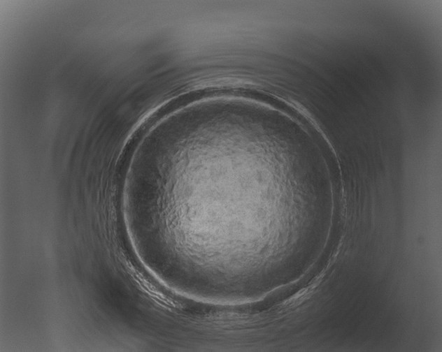 X0000050680783200506151727