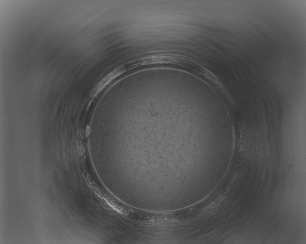 X0000050680786200506151727