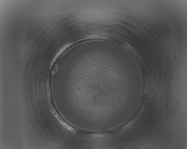X0000050680796200506151727