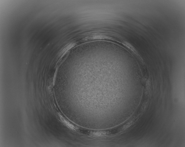 X0000050680801200506151727