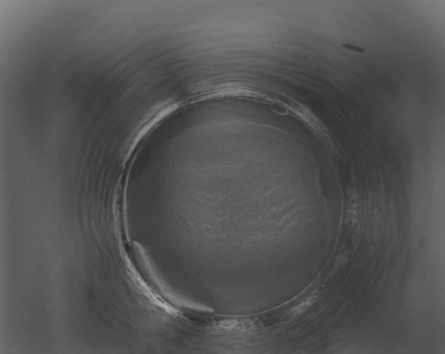 X0000050680806200506151727