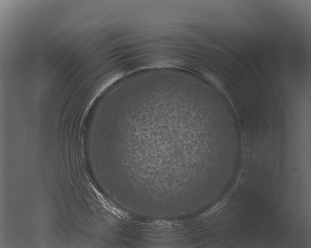 X0000050680827200506151726