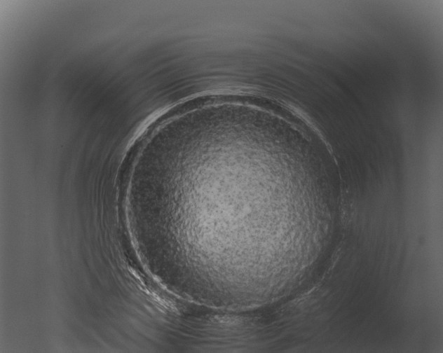 X0000050680829200506151726