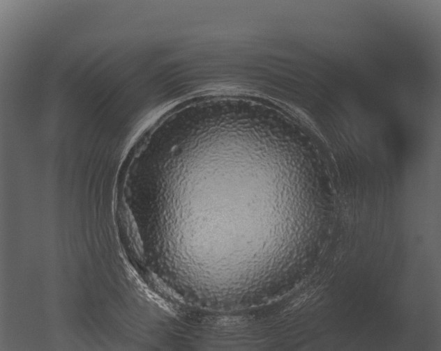 X0000050680839200506151726