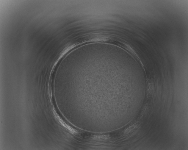 X0000050680843200506151726