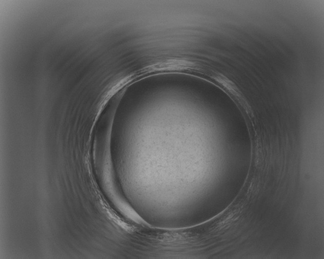 X0000050680850200506151726