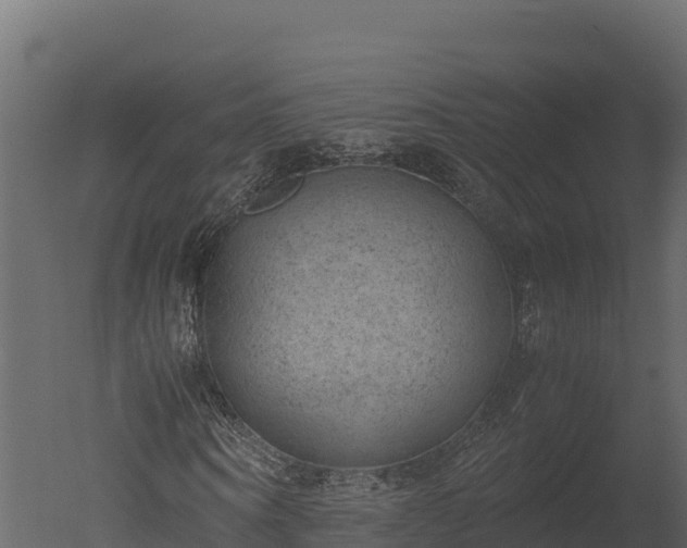 X0000050680866200506151726