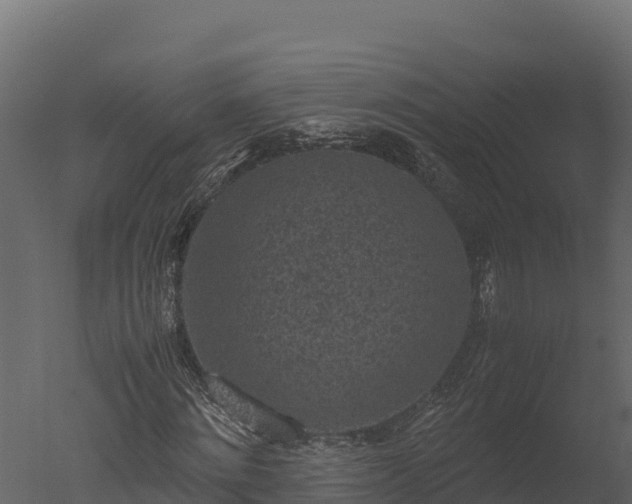 X0000050680868200506151726