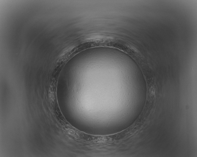 X0000050680869200506151726