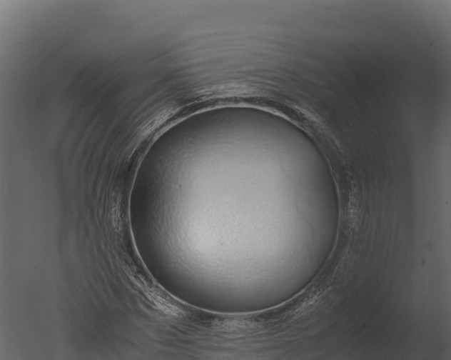 X0000050680873200506151726