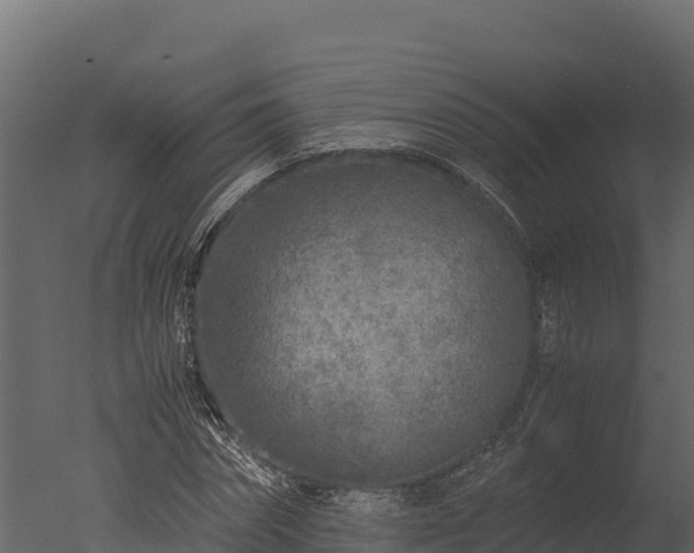 X0000050680874200506151726