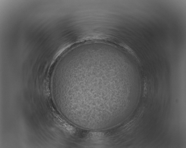 X0000050680878200506151726
