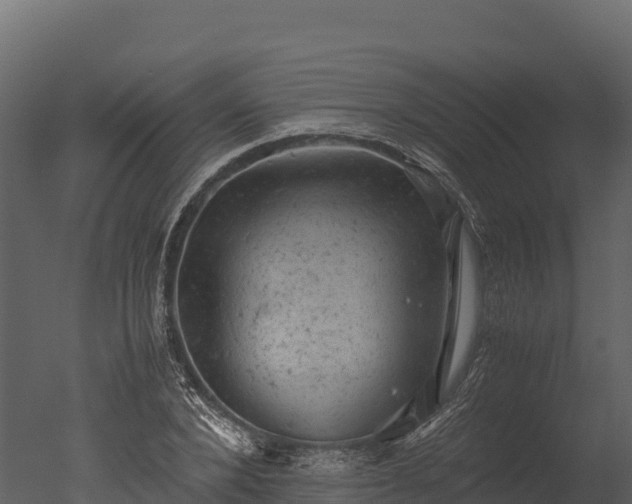 X0000050680880200506151726
