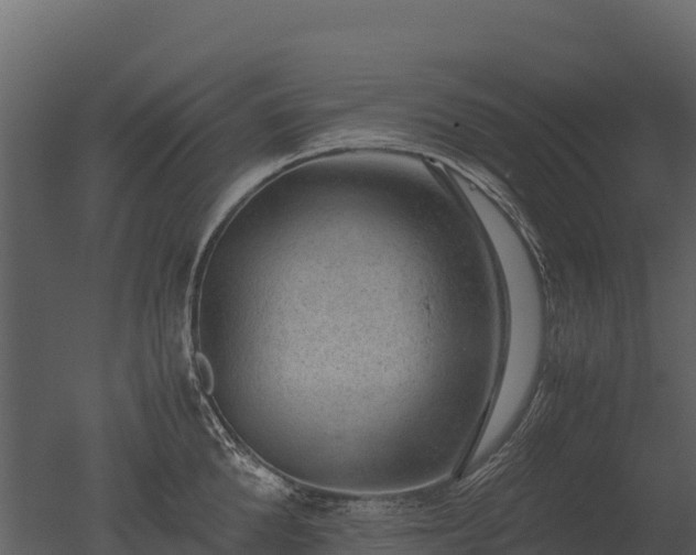 X0000050680904200506151725