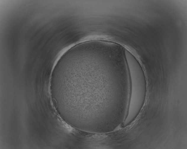 X0000050680912200506151725
