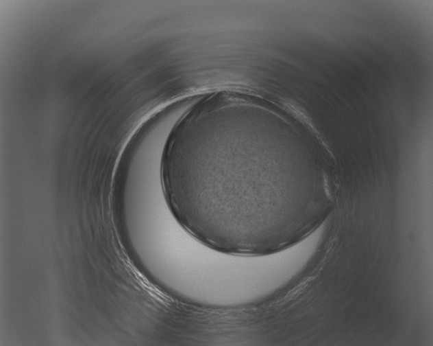 X0000050680924200506151724