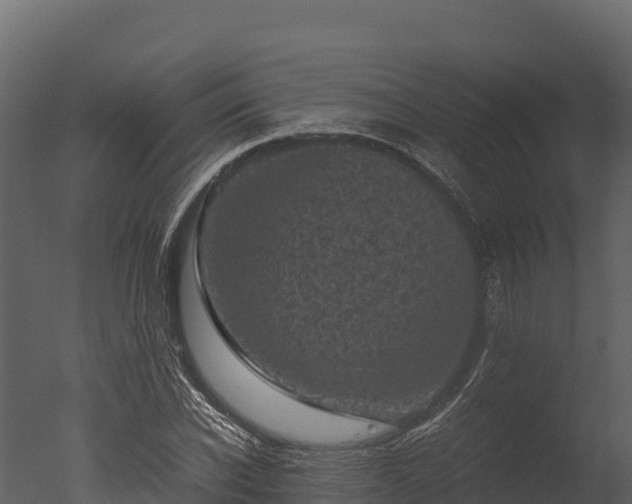 X0000050680926200506151724