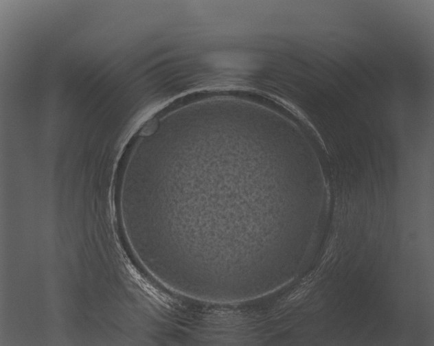 X0000050680935200506151725
