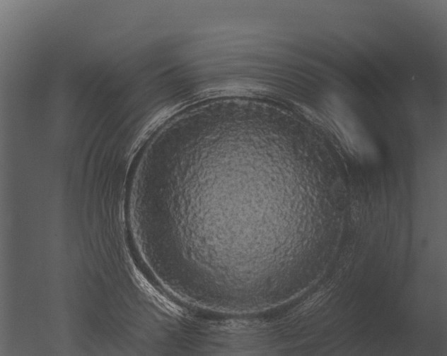 X0000050680938200506151725