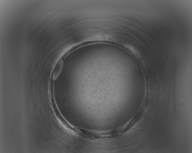 X0000050680942200506151725