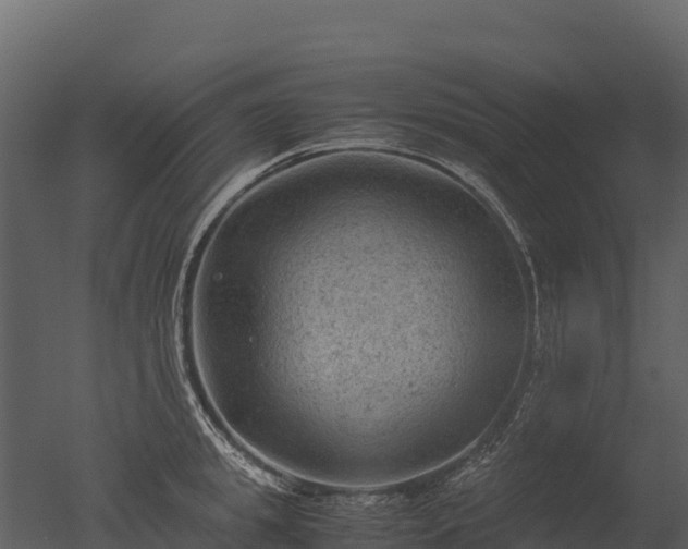 X0000050680949200506151725