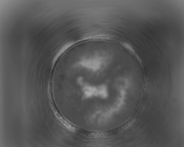 X0000050680952200506151725