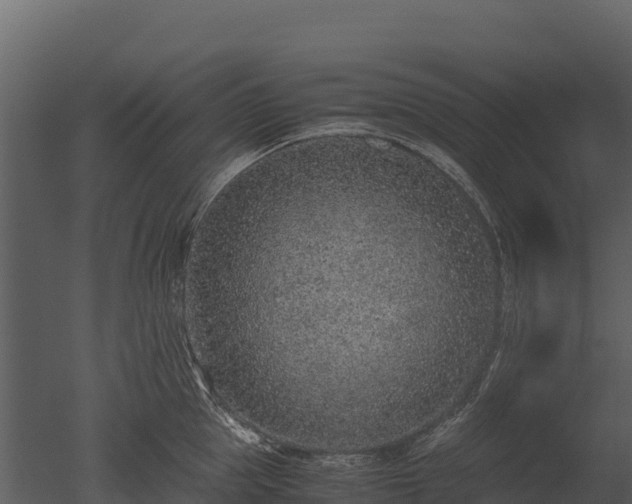 X0000050680953200506151725