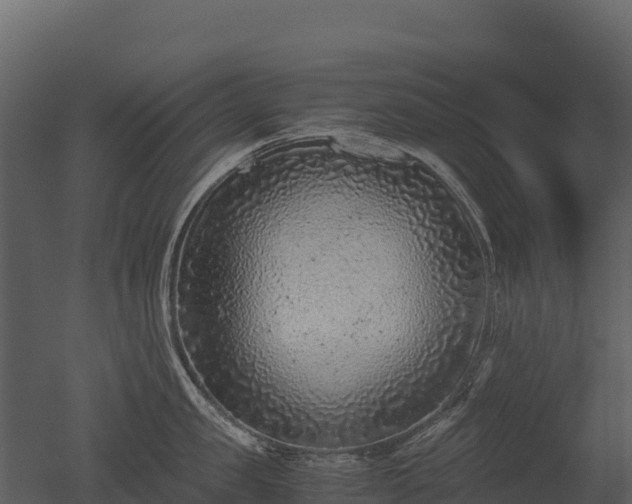 X0000050680957200506151725