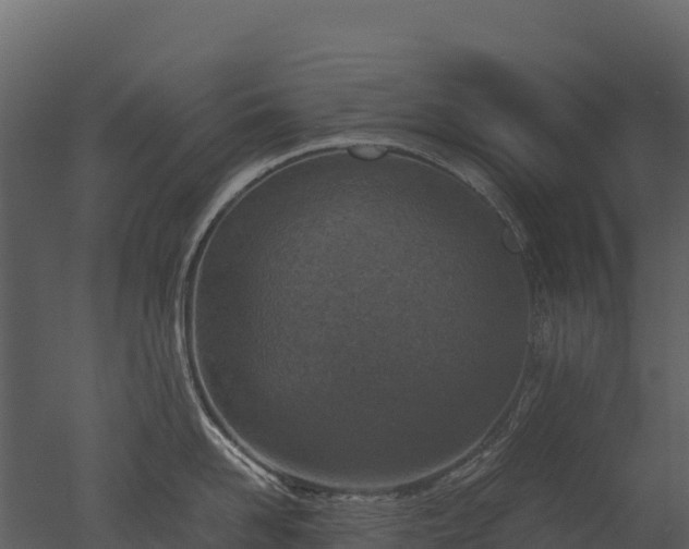 X0000050680958200506151725