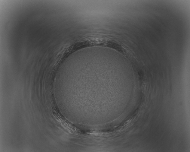 X0000050680961200506151724