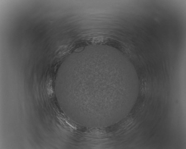X0000050680962200506151724