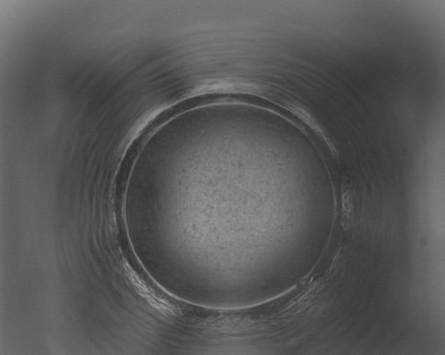 X0000050680972200506151724