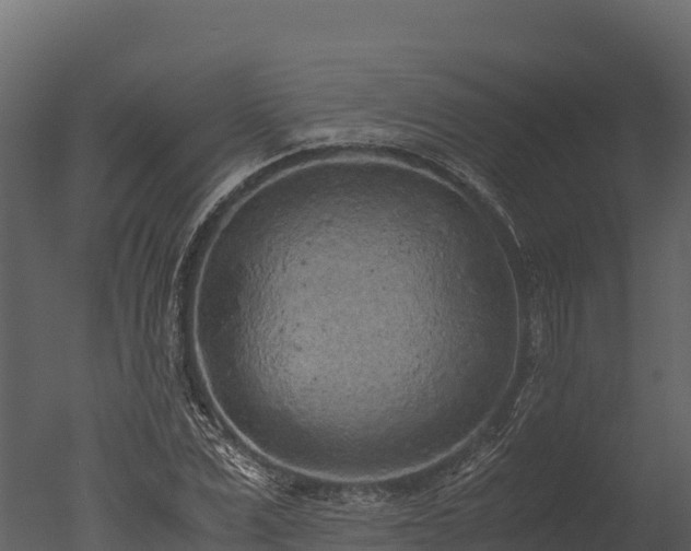X0000050680975200506151724