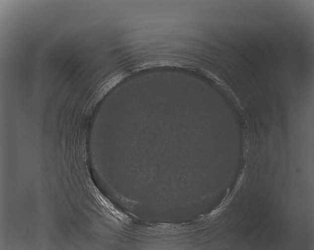 X0000050680977200506151724