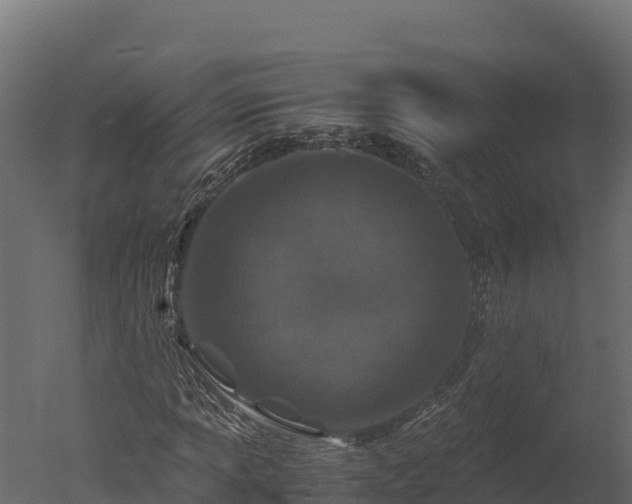 X0000050681013200506151723