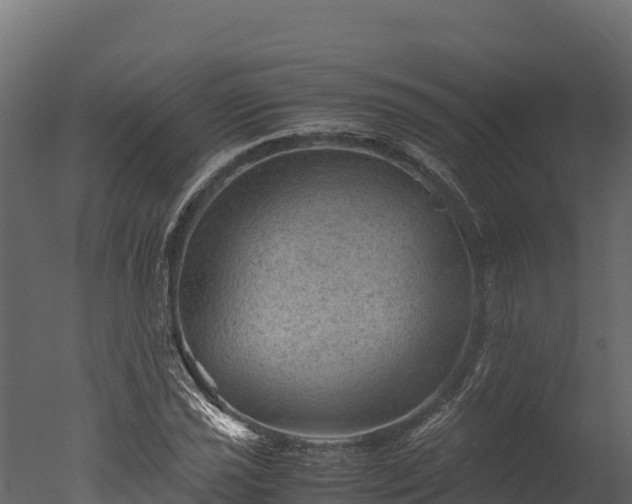 X0000050681021200506151723
